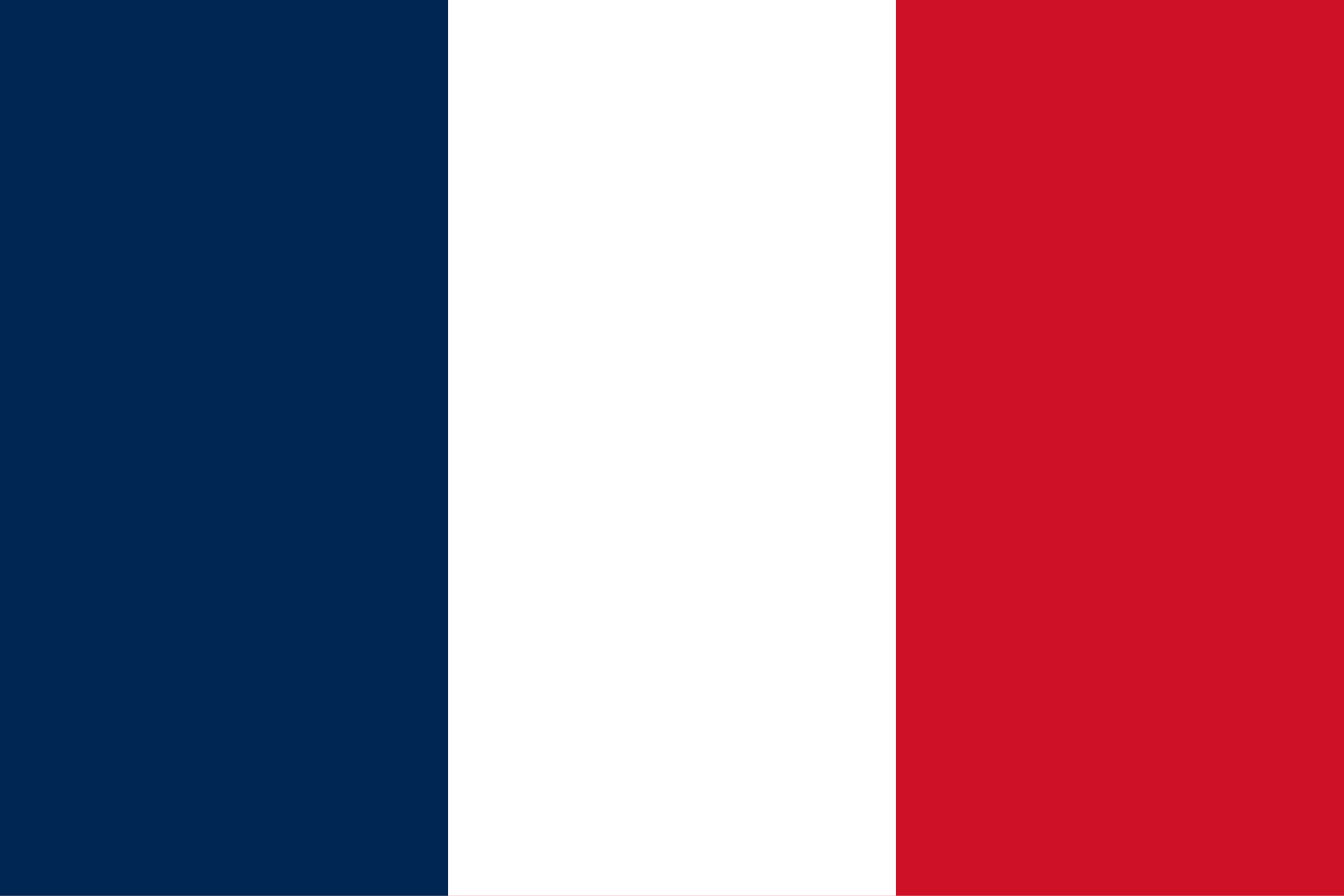 Bandera de Francia | Tricolor Azul, Blanca y Roja Oficial | Envío Gratis