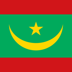 Bandera Mauritania media luna estrella dorada 60x90 fabricación española poliéster 115g