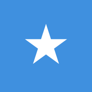 Bandera Somalia estrella unidad 60x90 fabricación española poliéster 115g cinco puntas