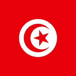 Bandera Túnez luna creciente estrella 60x90 fabricación española poliéster 115g herencia