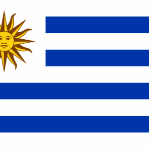 Bandera de Uruguay tamaños disponibles 60x90 90x150 120x180 150x240